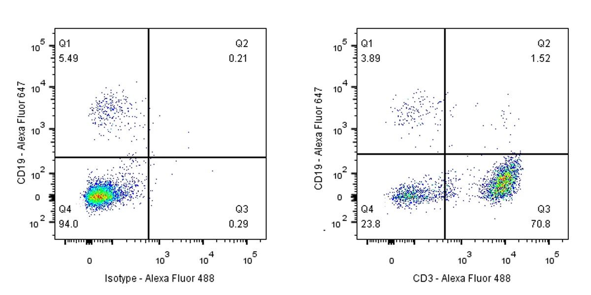 Invivo anti-human CD3 mAb