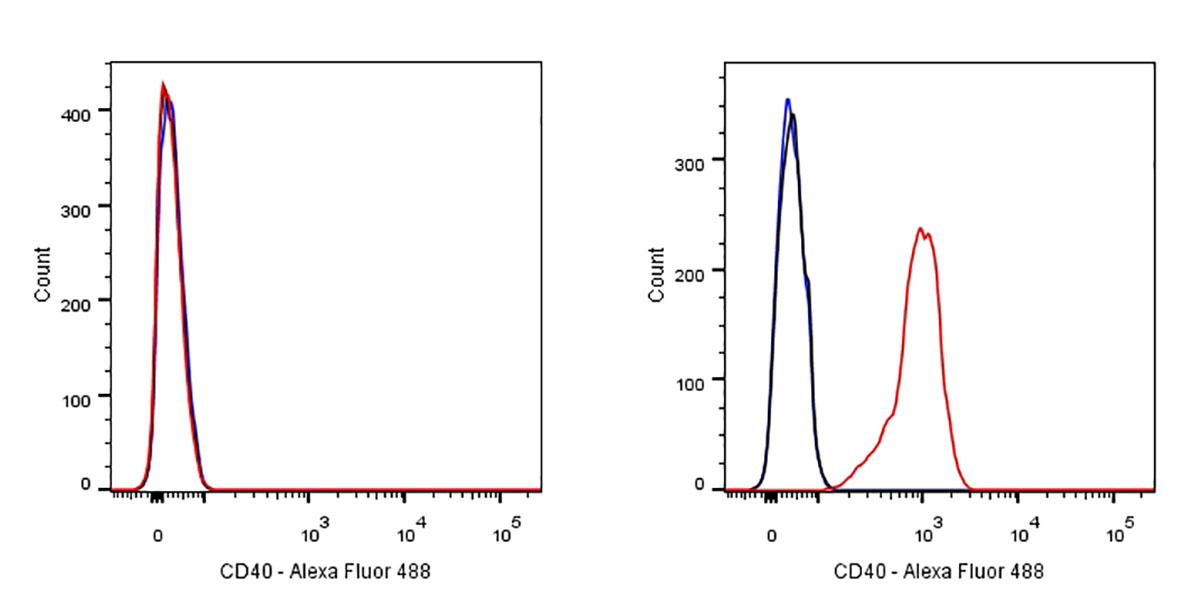 CD40 Recombinant Rabbit mAb (SDT-145-45)