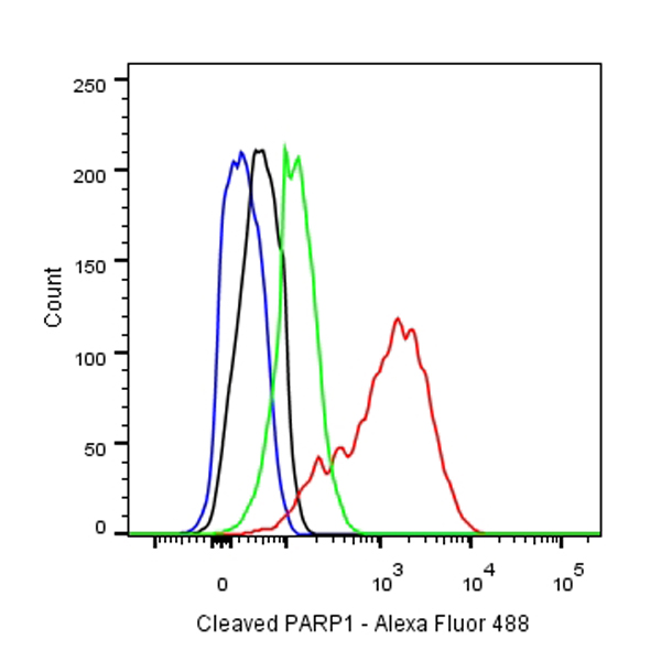 Cleaved PARP1 Recombinant Rabbit mAb,PBS Only (SDT-R084)